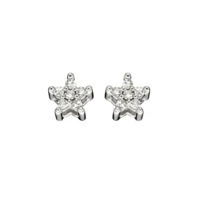 9ct White Gold Diamond Star Stud Earrings GE2353