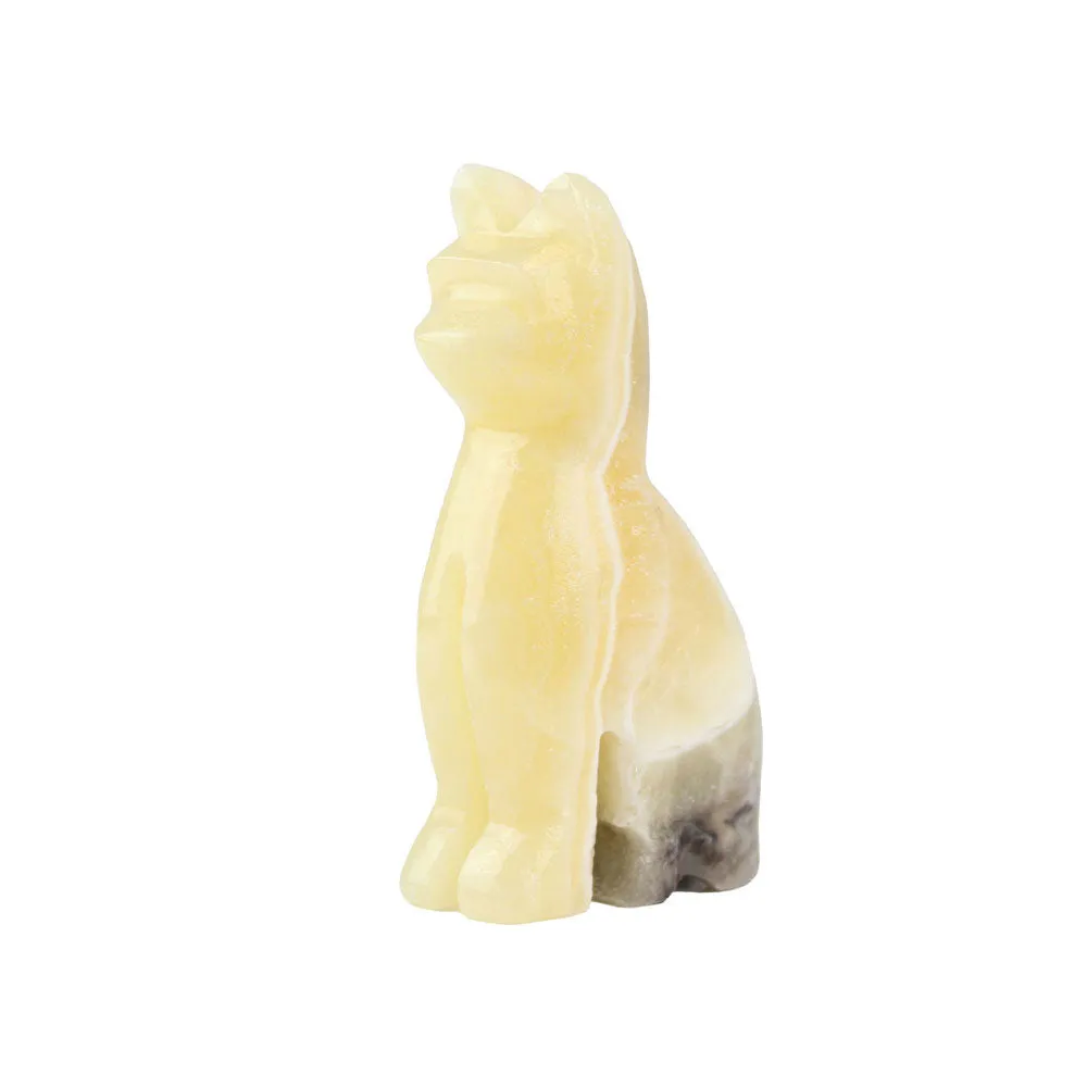 Amber Onyx Cat