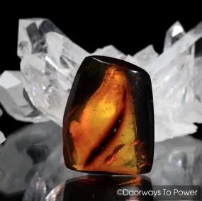 Amber "The Stone of Universal Manifestation" Hand Polished A  