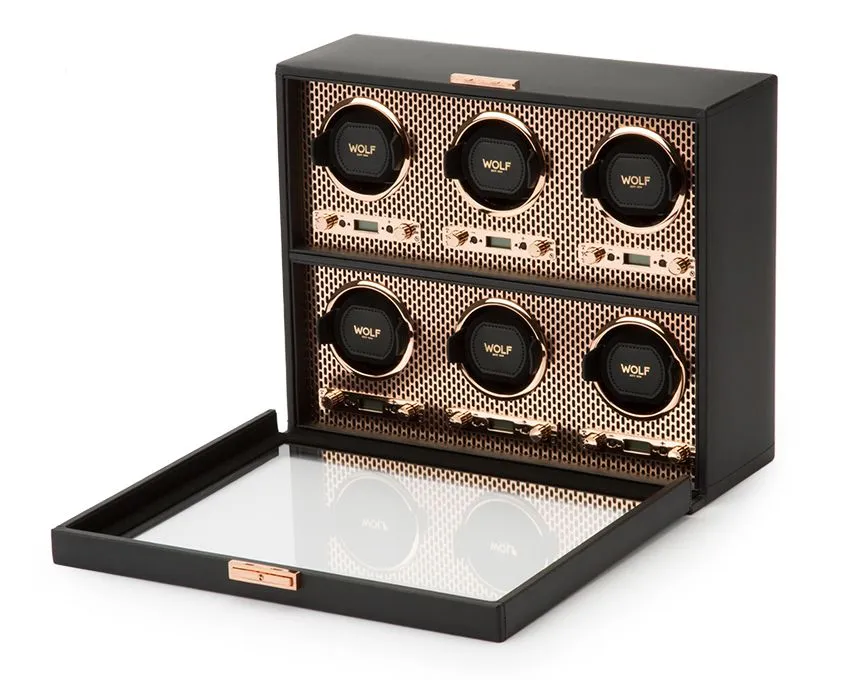 AXIS 6 Piece Watch Winder (Copper)