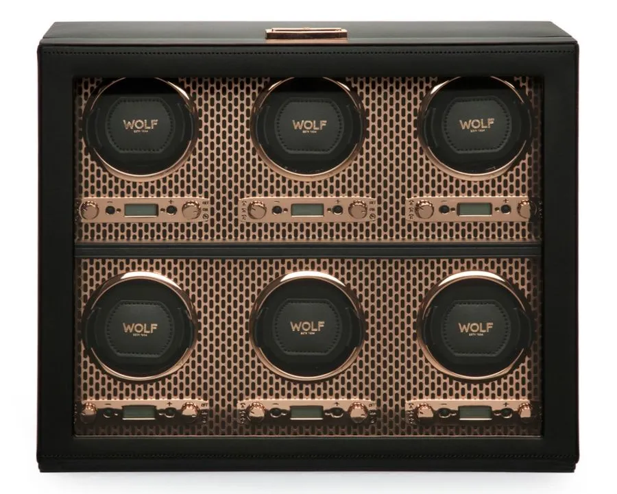 AXIS 6 Piece Watch Winder (Copper)