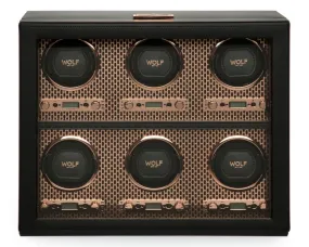 AXIS 6 Piece Watch Winder (Copper)