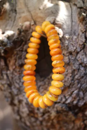 Baltic Amber Bracelet Antique Butterscotch Rondelle Beads Natural Untreated Unisex Jewelry Yolk 8.5" 28.5 gram