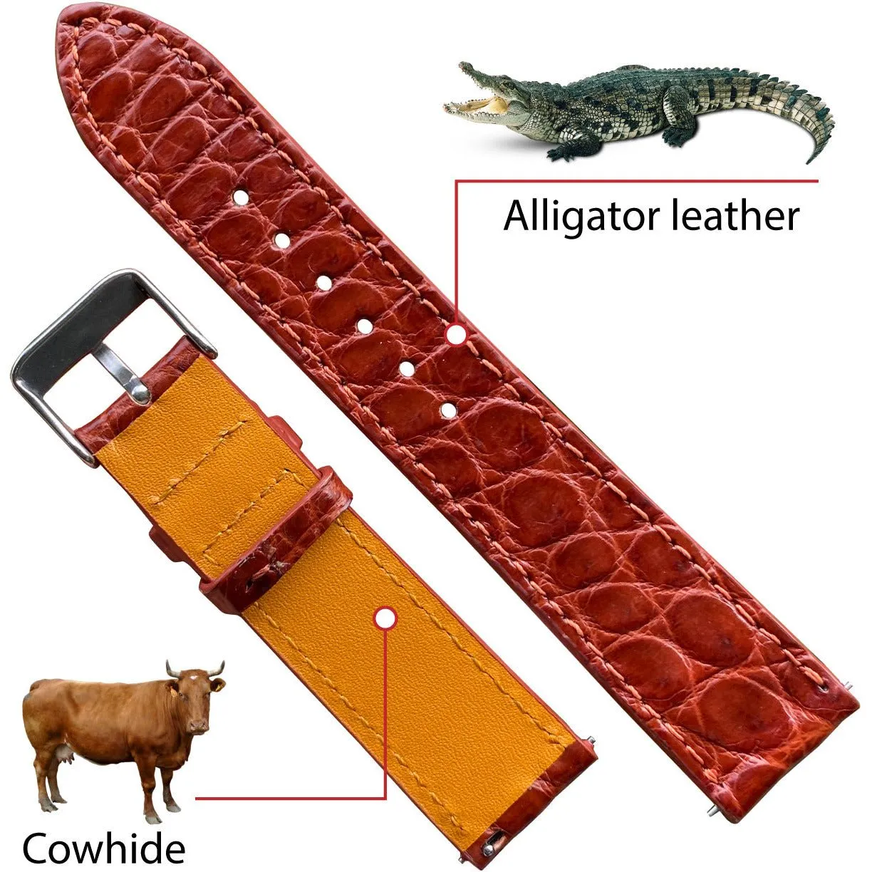 Light Brown Flat Alligator Leather Watch Band For Men | No-Padding | DH-26