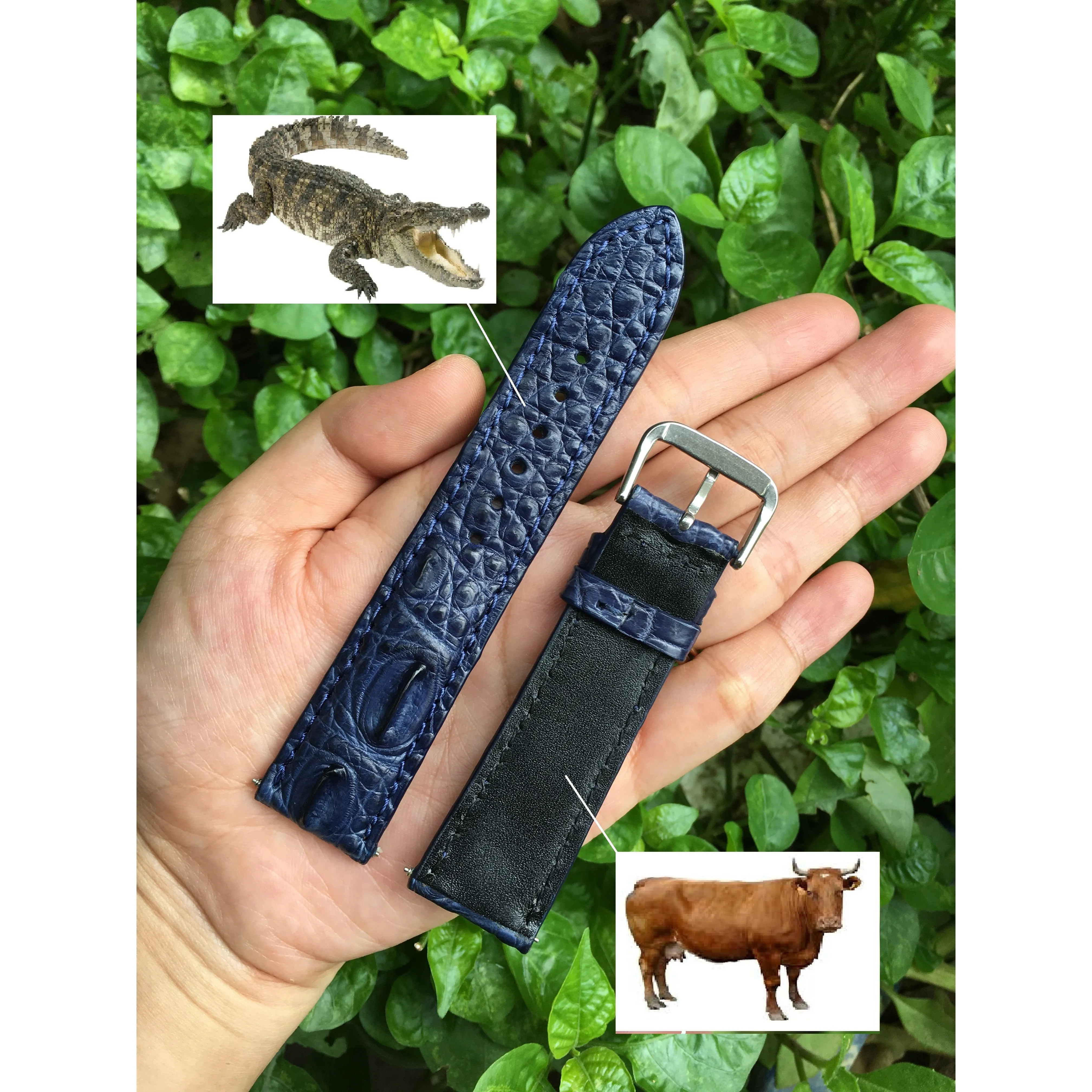 Navy Blue Alligator Leather Watch Band | Crocodile Quick Release Replacement Wristwatch Strap | DH-39