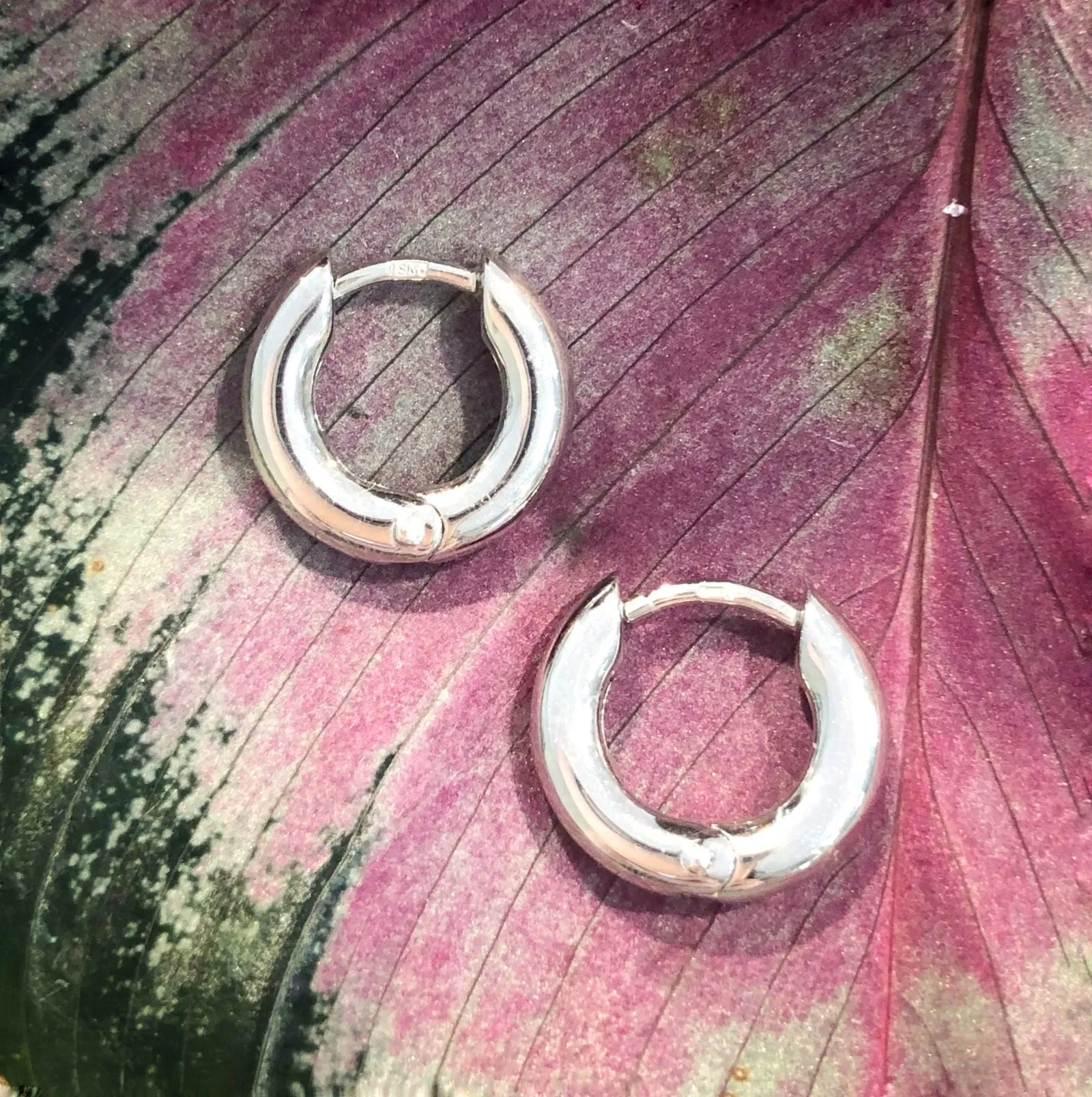 Petite Classic Hoops