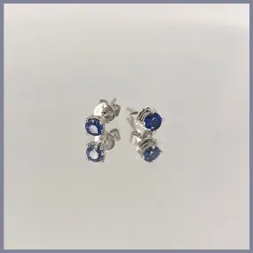 RSJ308 Sapphire Earrings