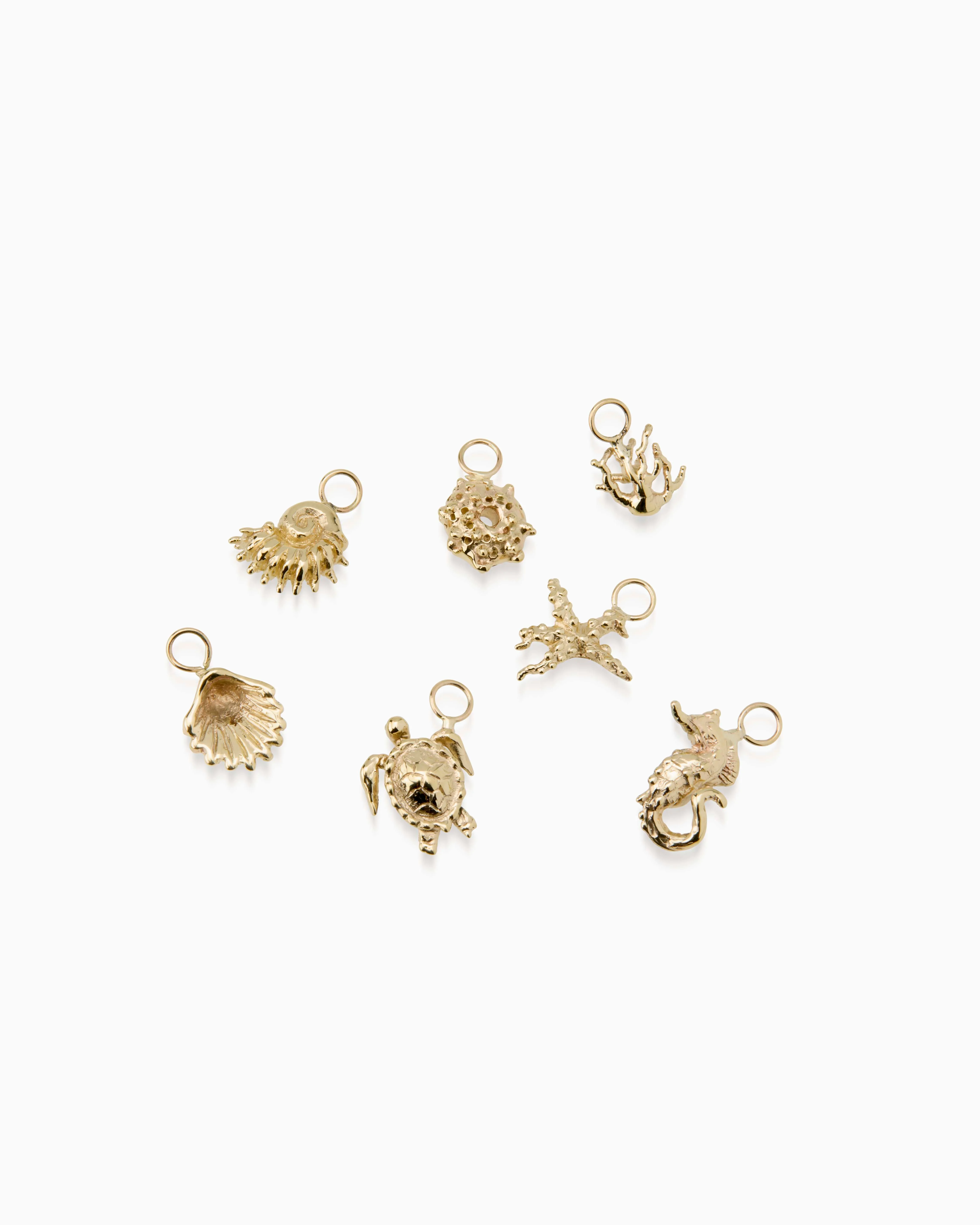 Sundial Shell Earring | Gold